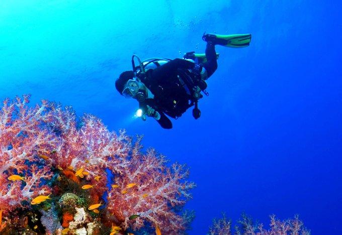 标杆企业!捷勃特再度入选《2023年度上海市智能机器人标杆企业与应用场景推荐目录》